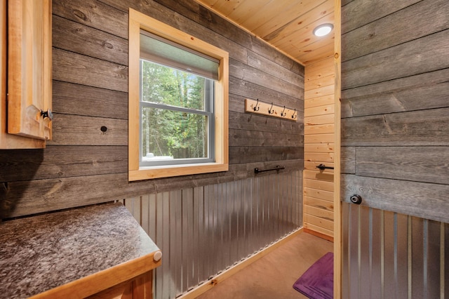 52852 Brush Shanty Lake Rd, Bigfork, MN 56628 - bathroom with wood walls and wood ceiling