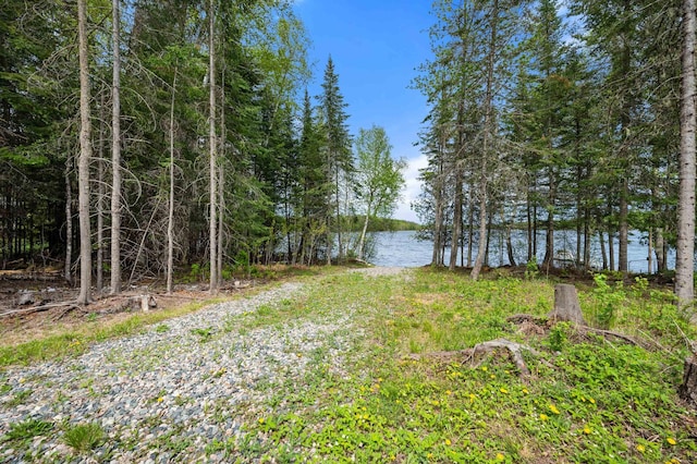 52852 Brush Shanty Lake Rd, Bigfork, MN 56628 - view of yard with a water view
