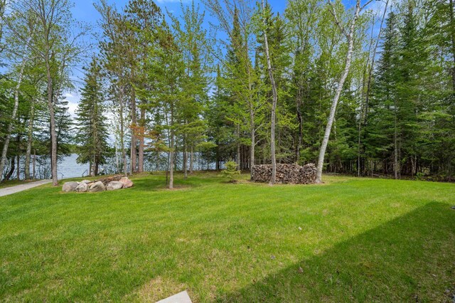 52852 Brush Shanty Lake Rd, Bigfork, MN 56628 - view of green lawn featuring a water view