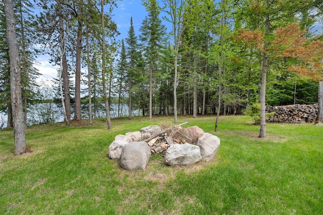 52852 Brush Shanty Lake Rd, Bigfork, MN 56628 - view of green lawn