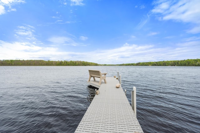 52852 Brush Shanty Lake Rd, Bigfork, MN 56628 - dock featuring a water view