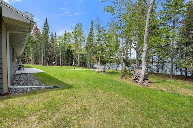 52852 Brush Shanty Lake Rd, Bigfork, MN 56628 - view of grassy yard