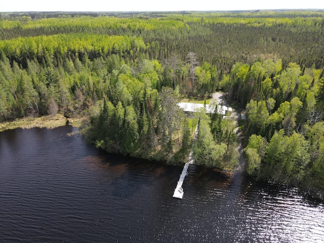52852 Brush Shanty Lake Rd, Bigfork, MN 56628 - bird's eye view of a heavily wooded area and a large body of water