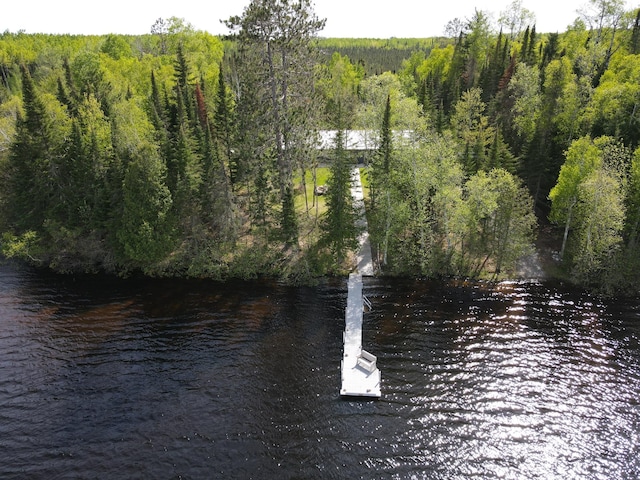 52852 Brush Shanty Lake Rd, Bigfork, MN 56628 - water view featuring a heavily wooded area