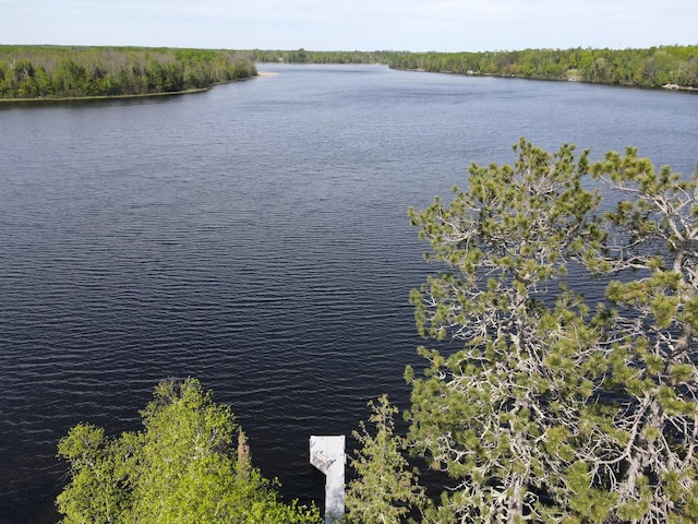 52852 Brush Shanty Lake Rd, Bigfork, MN 56628 - water view