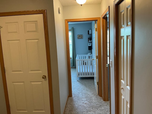 14434 Quebec Ave, Savage, MN 55378 - photo 13