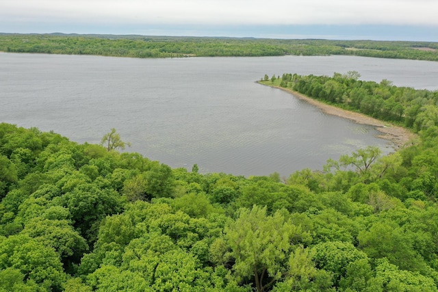 (LOTE)TBD Rock Lake Road, Rochert, MN 56578