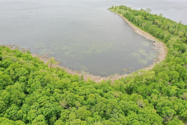 (LOTE)TBD Rock Lake Road, Rochert, MN 56578