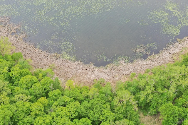 (LOTE)TBD Rock Lake Road, Rochert, MN 56578