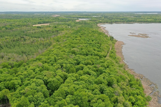 (LOTE)TBD Rock Lake Road, Rochert, MN 56578
