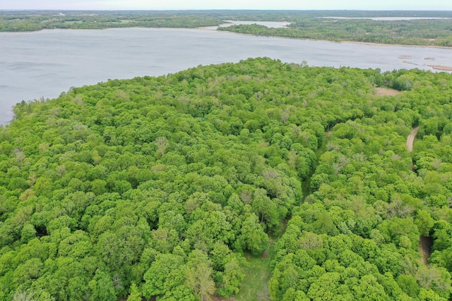 (LOTE)TBD Rock Lake Road, Rochert, MN 56578