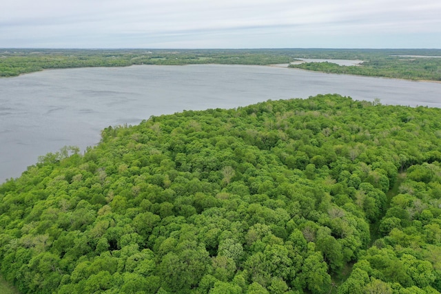 (LOTE)TBD Rock Lake Road, Rochert, MN 56578