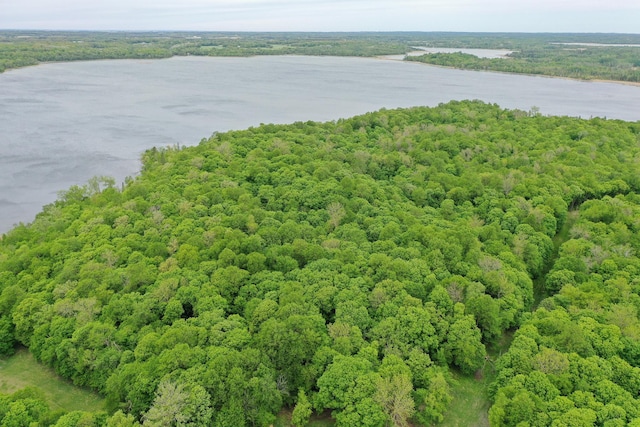 (LOTE)TBD Rock Lake Road, Rochert, MN 56578