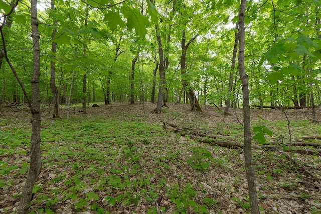 (LOTE)TBD Rock Lake Road, Rochert, MN 56578