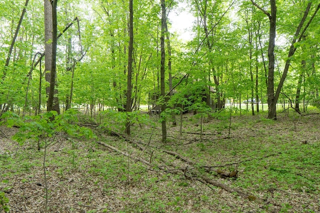 (LOTE)TBD Rock Lake Road, Rochert, MN 56578