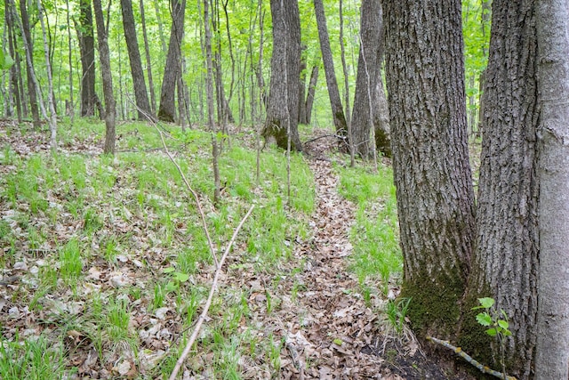 (LOTE)TBD Rock Lake Road, Rochert, MN 56578