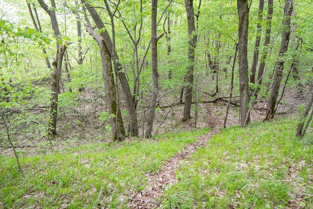 (LOTE)TBD Rock Lake Road, Rochert, MN 56578