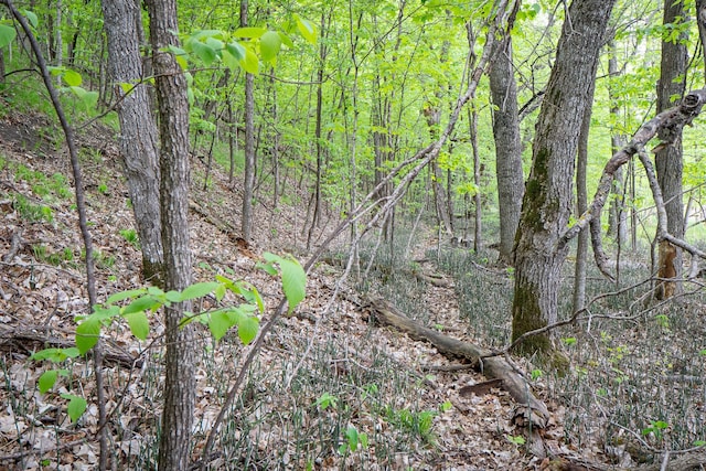 (LOTE)TBD Rock Lake Road, Rochert, MN 56578