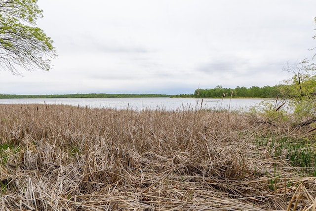 (LOTE)TBD Rock Lake Road, Rochert, MN 56578