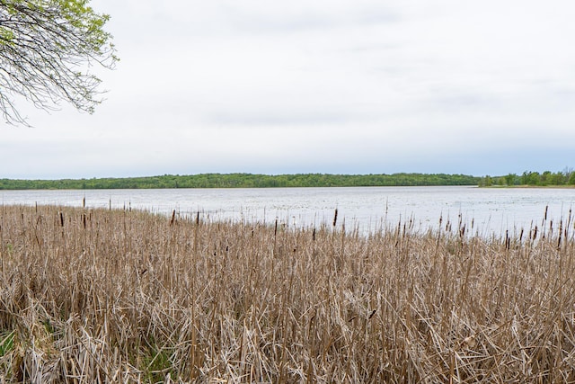 (LOTE)TBD Rock Lake Road, Rochert, MN 56578