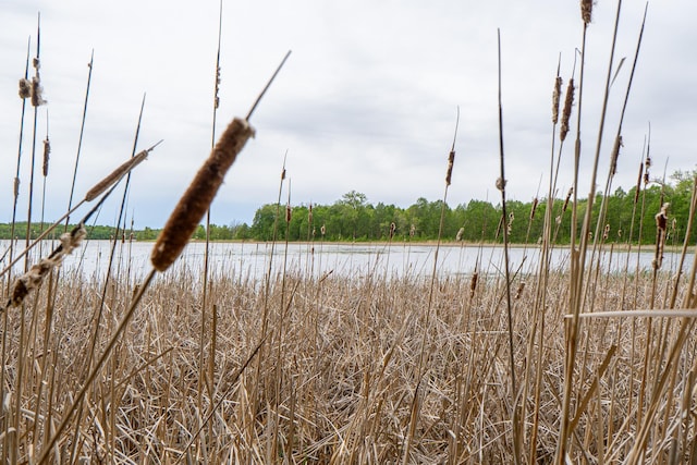 (LOTE)TBD Rock Lake Road, Rochert, MN 56578
