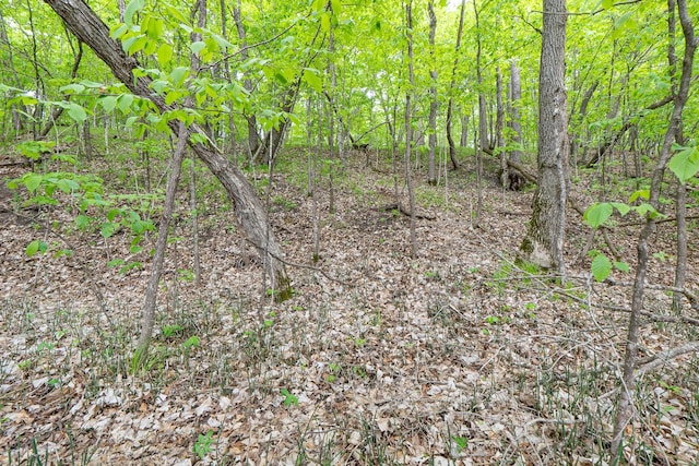 (LOTE)TBD Rock Lake Road, Rochert, MN 56578