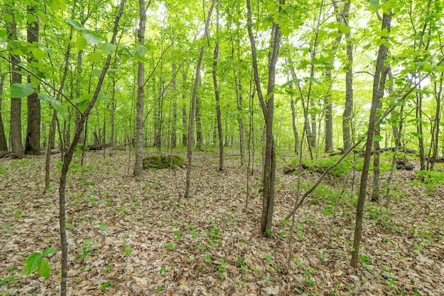 (LOTE)TBD Rock Lake Road, Rochert, MN 56578