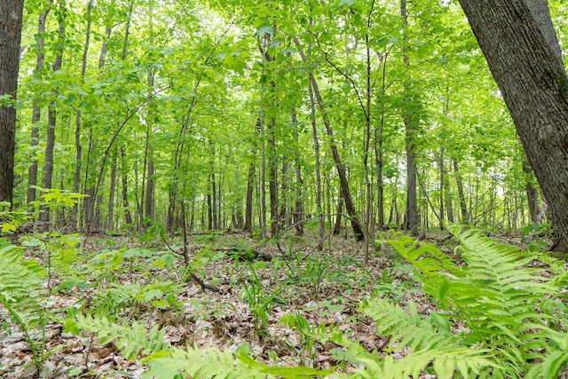 (LOTE)TBD Rock Lake Road, Rochert, MN 56578