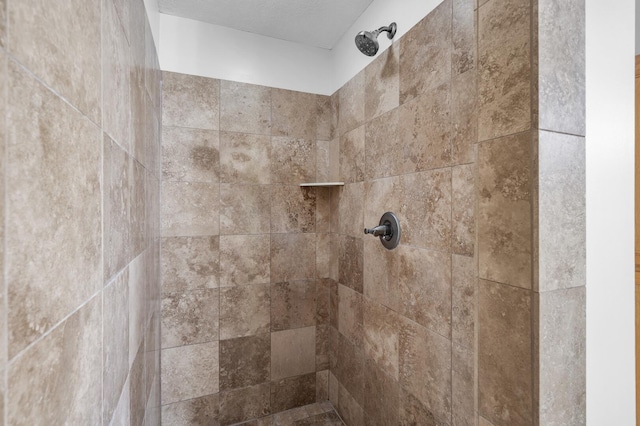 6415 Queensland Ln N, Maple Grove, MN 55311 - bathroom view of tiled shower