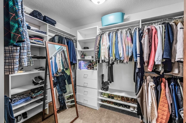 6415 Queensland Ln N, Maple Grove, MN 55311 - walk in closet featuring carpet