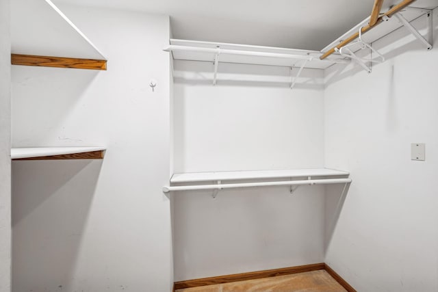 2216 146th Ave NE, Ham Lake, MN 55304 - view of walk in closet