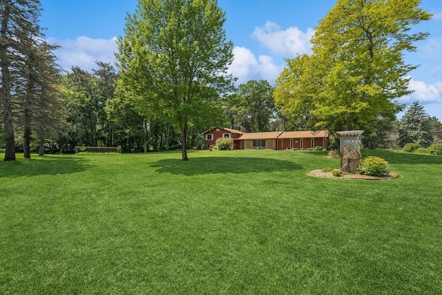 2216 146th Ave NE, Ham Lake, MN 55304 - view of grassy yard