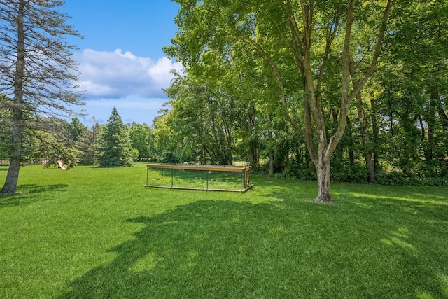 2216 146th Ave NE, Ham Lake, MN 55304 - view of green lawn
