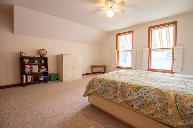 33625 160th St, Battle Lake, MN 56515 - photo 71