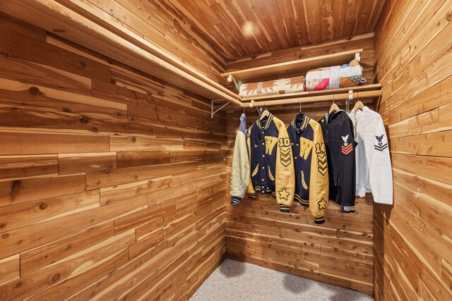 15905 43rd Ave N, Plymouth, MN 55446 - walk in closet with carpet