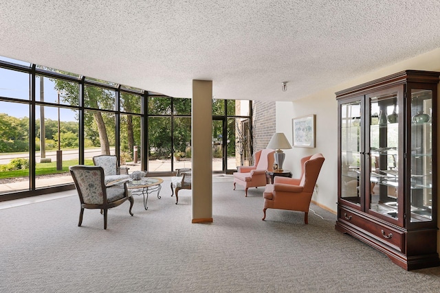 20 Windsor Ln Unit 213A, New Brighton, MN 55112 - sitting room with carpet, a wall of windows, and a textured ceiling
