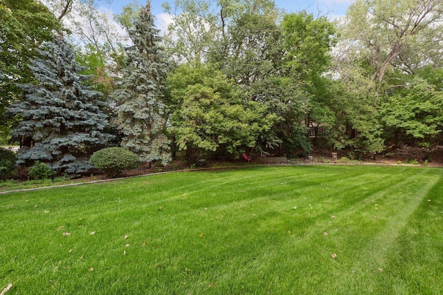 20 Windsor Ln Unit 213A, New Brighton, MN 55112 - view of green lawn