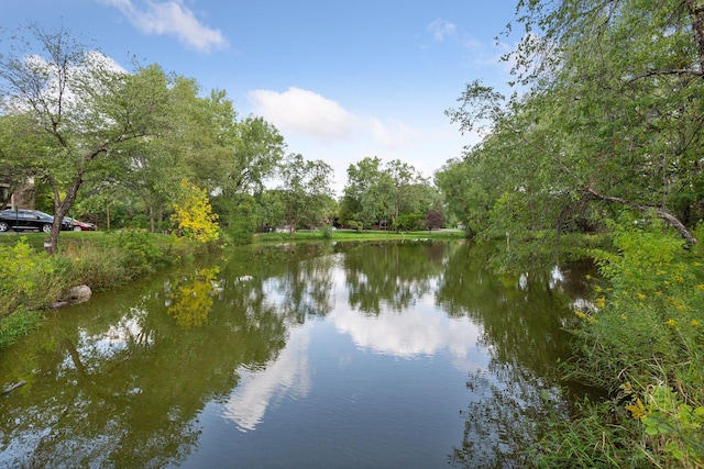 20 Windsor Ln Unit 213A, New Brighton, MN 55112 - water view