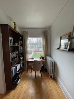 2204 Girard Ave S, Minneapolis, MN 55405 - office area featuring radiator heating unit, light wood-type flooring, and baseboards