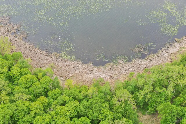 (LOTG)TBD Rock Lake Road, Rochert, MN 56578 - photo 5