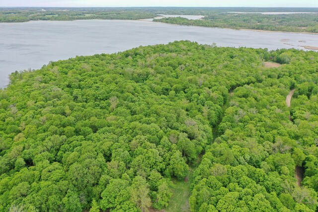 (LOTG)TBD Rock Lake Road, Rochert, MN 56578 - photo 7