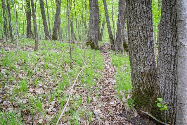 (LOTG)TBD Rock Lake Road, Rochert, MN 56578 - photo 13
