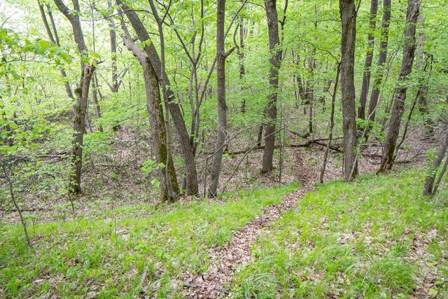 (LOTG)TBD Rock Lake Road, Rochert, MN 56578 - photo 14
