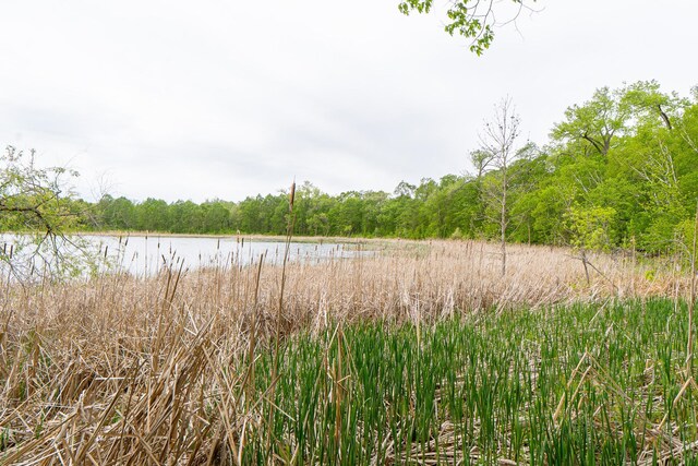 (LOTG)TBD Rock Lake Road, Rochert, MN 56578 - photo 16