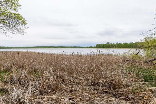 (LOTG)TBD Rock Lake Road, Rochert, MN 56578 - photo 18