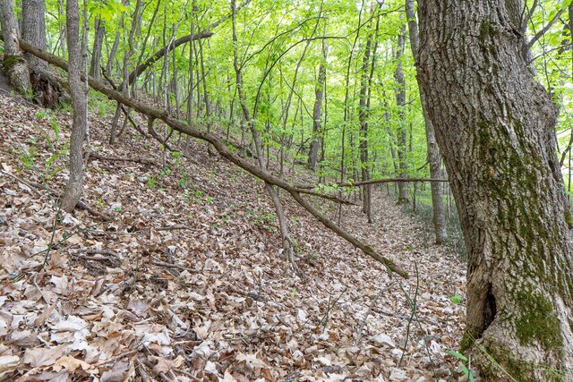 (LOTG)TBD Rock Lake Road, Rochert, MN 56578 - photo 23