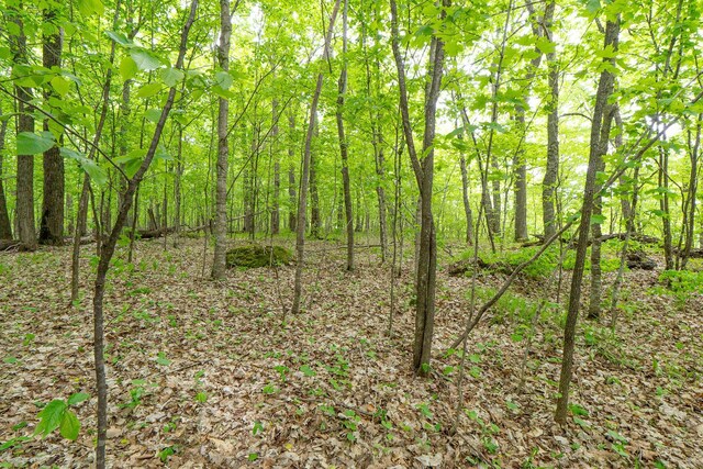 (LOTG)TBD Rock Lake Road, Rochert, MN 56578 - photo 24