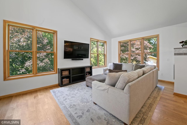 2119 13th Ave E, North Saint Paul, MN 55109 - living room with high vaulted ceiling and wood finished floors