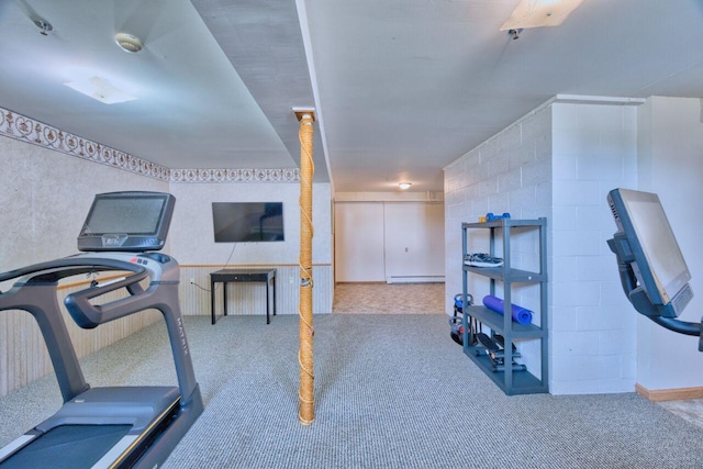 417 Main St S, Aurora, MN 55705 - workout area with carpet, a baseboard radiator, and a fireplace