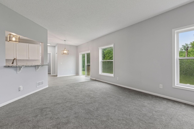1418 Bluff St, Dundas, MN 55019 - unfurnished living room featuring carpet floors, healthy amount of natural light, and a textured ceiling